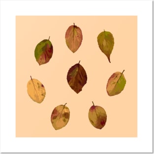 Vintage Autumn Leaves - Autumn Leaves Detail Pattern Posters and Art
